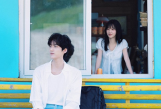 Sinopsis dan Link Nonton Drama China Never-Ending Summer (2026) Full Episode Subtitle Indonesia, Membuka Hatinya Untuk Zhou Wan