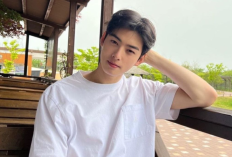 Rekomendasi Drama Cha Eunwoo, Mulai dari True Beauty (2020) Hingga Wonderfools World (2026)